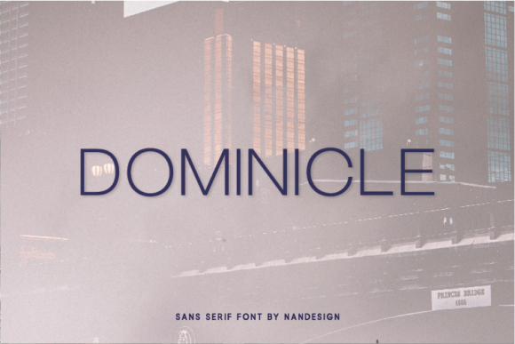 A Campaign Designer’s Review of the Dominicle Sans Serif Font