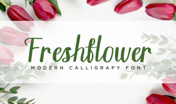 Freshflower Font Review for Campaign Designers