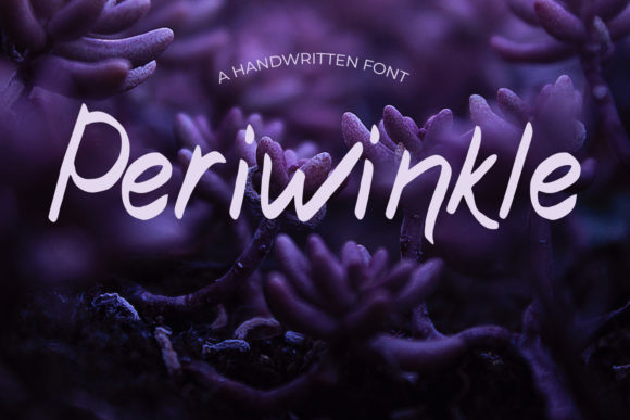 Periwinkle: The Simple Handwritten Script for Natural Design