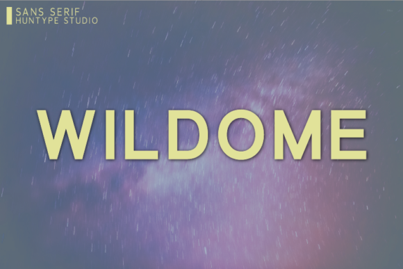 The Wildome Font in Real-World Branding Projects