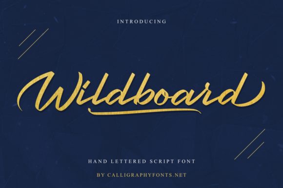 Wildboard: A Versatile Handwritten Font for Campaign Creators