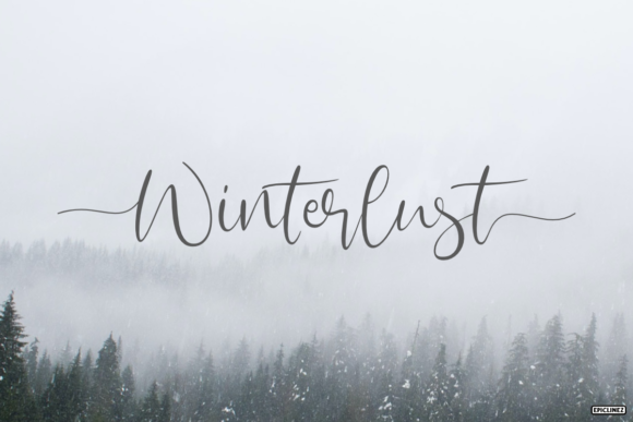 Winterlust: A Timeless Script Font for Elegant Designs